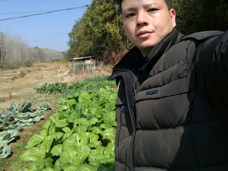 倔强的驴的第一张照片--莆田交友网