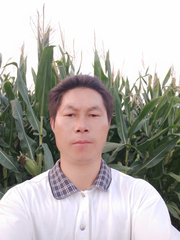 四海游龙的第二张照片--莆田交友网