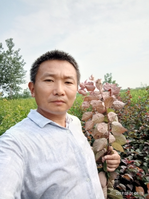 孩子爸的第二张照片--莆田交友网