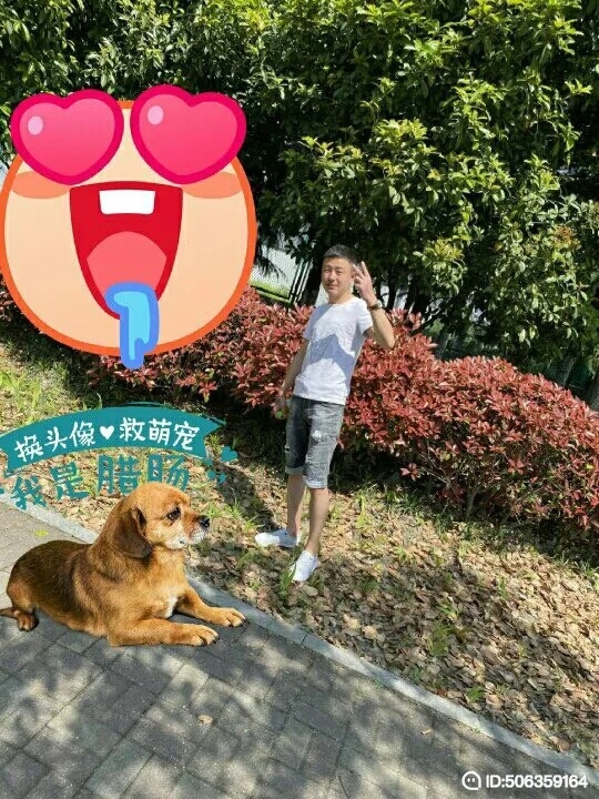 我若不坚强谁替我勇敢的第一张照片--莆田交友网