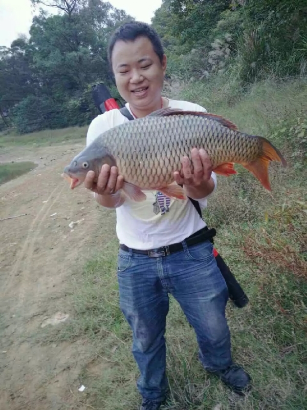 迷路的男人的第一张照片--莆田交友网