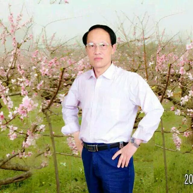 枫叶的第一张照片--莆田交友网